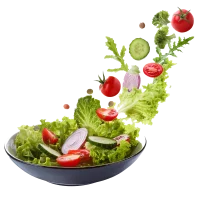 DMC_salad_100 x 100 px copy